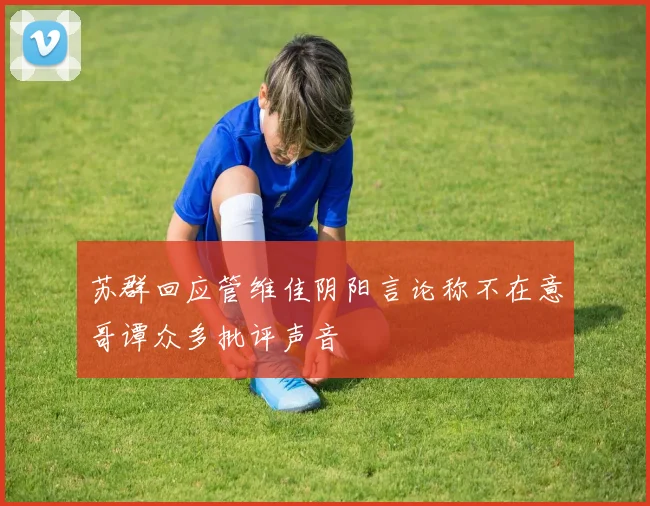 苏群回应管维佳阴阳言论称不在意哥谭众多批评声音