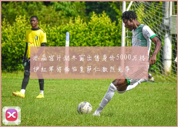 水晶宫计划冬窗出售身价5000万格伊红军将面临皇萨仁激烈竞争