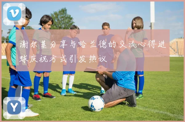 谢尔基分享与哈兰德的交流心得进球庆祝方式引发热议