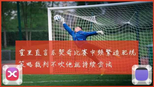 霍里直言东契奇比赛中频繁造犯规策略裁判不吹他就持续尝试