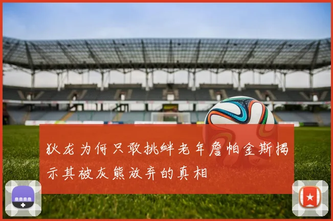 狄龙为何只敢挑衅老年詹帕金斯揭示其被灰熊放弃的真相
