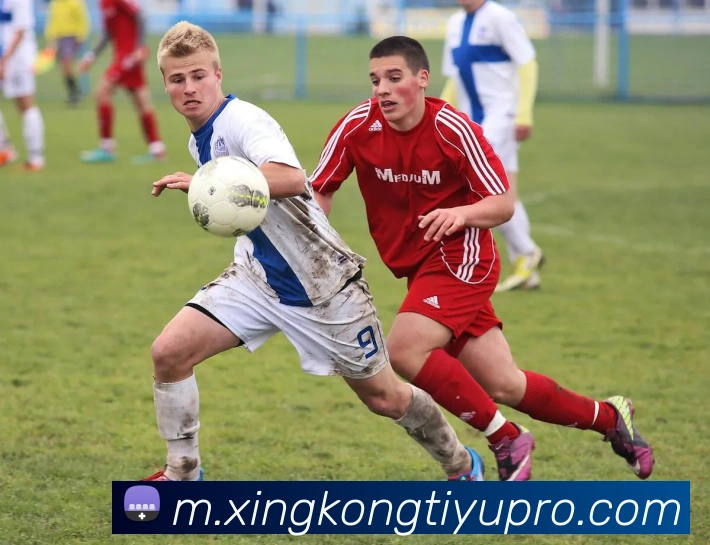 多媒体互动体验